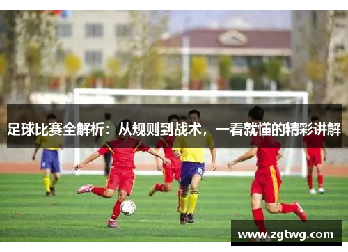 足球比赛全解析：从规则到战术，一看就懂的精彩讲解