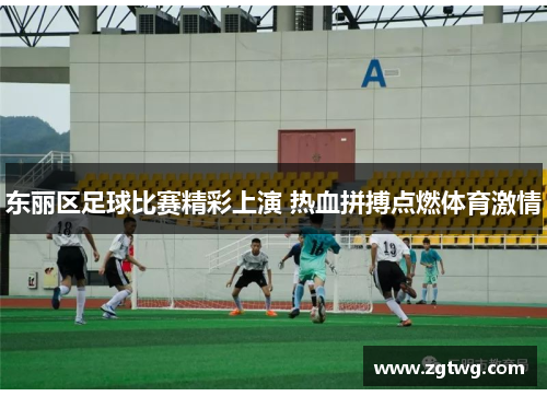 东丽区足球比赛精彩上演 热血拼搏点燃体育激情