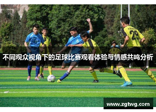 不同观众视角下的足球比赛观看体验与情感共鸣分析