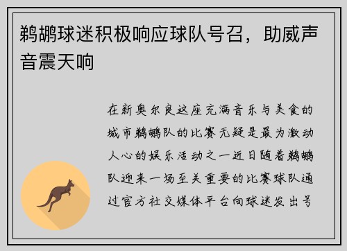 鹈鹕球迷积极响应球队号召，助威声音震天响